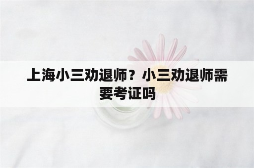 上海小三劝退师？小三劝退师需要考证吗