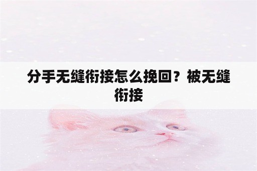 分手无缝衔接怎么挽回？被无缝衔接