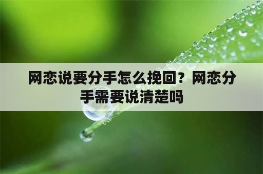 网恋说要分手怎么挽回？网恋分手需要说清楚吗