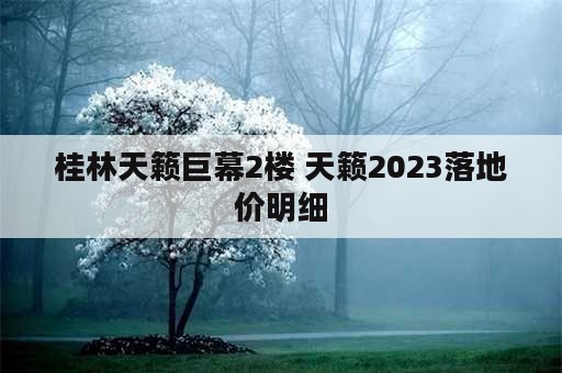桂林天籁巨幕2楼 天籁2023落地价明细