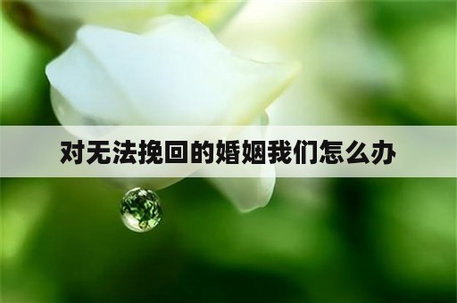 对无法挽回的婚姻我们怎么办