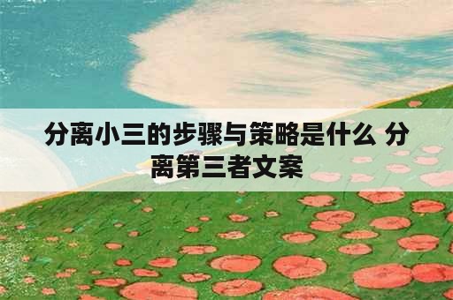 分离小三的步骤与策略是什么 分离第三者文案