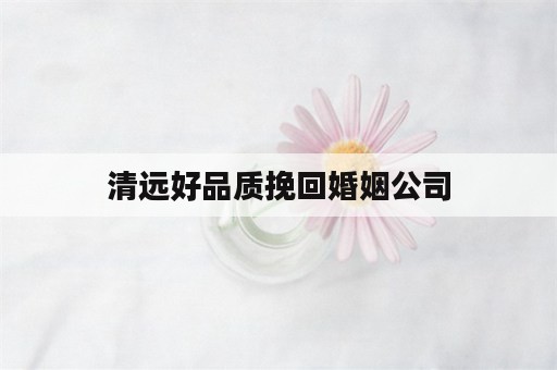 清远好品质挽回婚姻公司