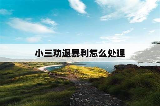 小三劝退暴利怎么处理