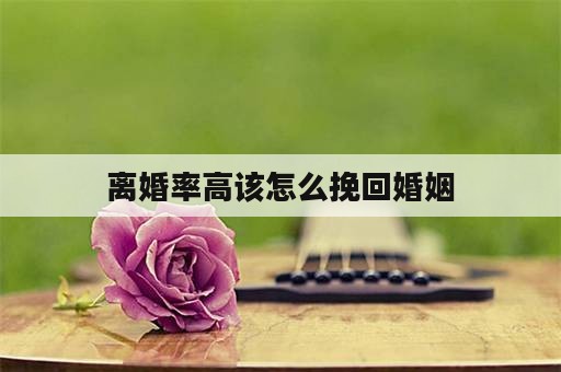 离婚率高该怎么挽回婚姻