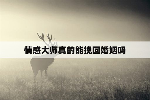 情感大师真的能挽回婚姻吗