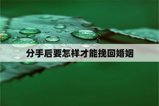 分手后要怎样才能挽回婚姻