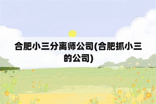 合肥小三分离师公司(合肥抓小三的公司)