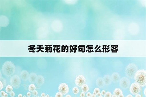 冬天菊花的好句怎么形容