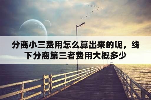 分离小三费用怎么算出来的呢，线下分离第三者费用大概多少