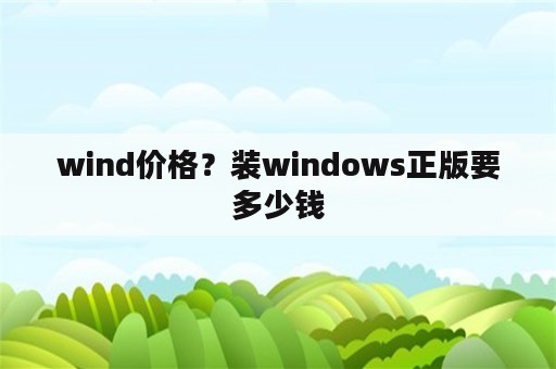 wind价格？装windows正版要多少钱