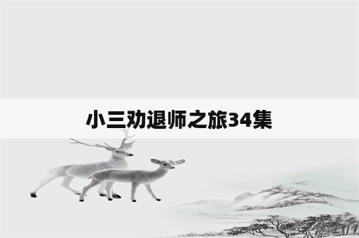 小三劝退师之旅34集