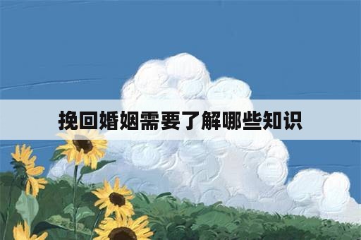 挽回婚姻需要了解哪些知识