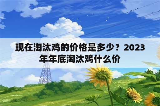 现在淘汰鸡的价格是多少？2023年年底淘汰鸡什么价