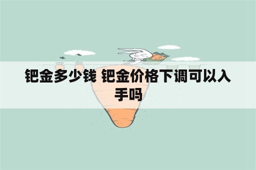 钯金多少钱 钯金价格下调可以入手吗