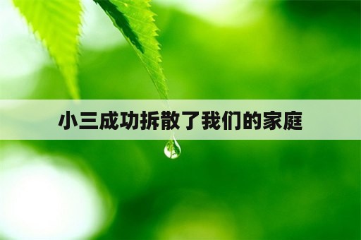 小三成功拆散了我们的家庭