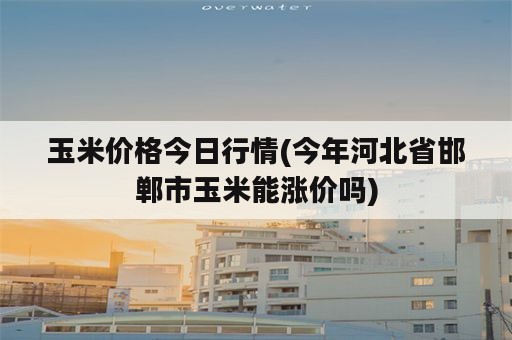 玉米价格今日行情(今年河北省邯郸市玉米能涨价吗)