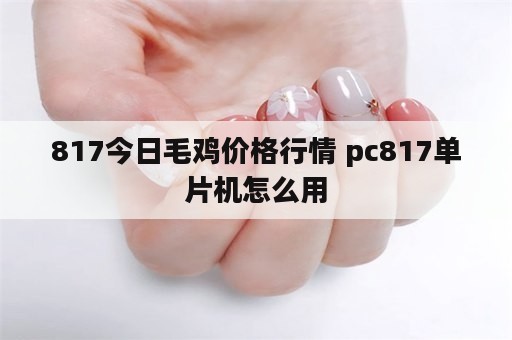 817今日毛鸡价格行情 pc817单片机怎么用