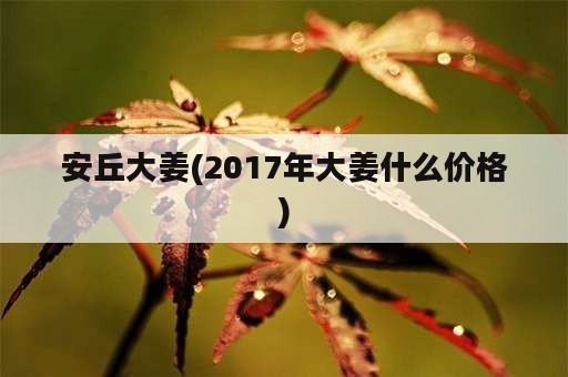 安丘大姜(2017年大姜什么价格)