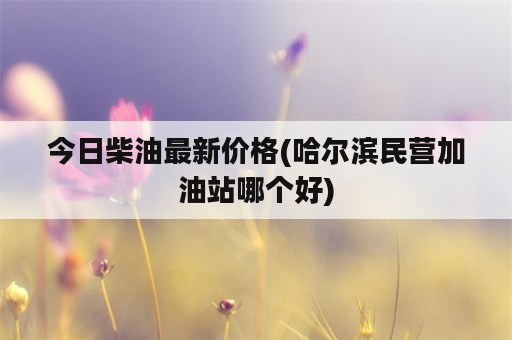 今日柴油最新价格(哈尔滨民营加油站哪个好)