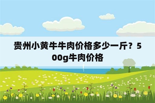 贵州小黄牛牛肉价格多少一斤？500g牛肉价格