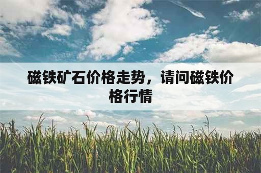 磁铁矿石价格走势，请问磁铁价格行情