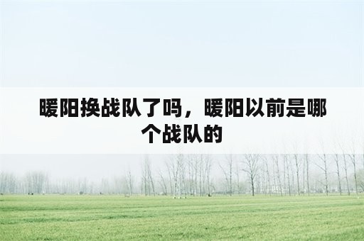 暖阳换战队了吗，暖阳以前是哪个战队的