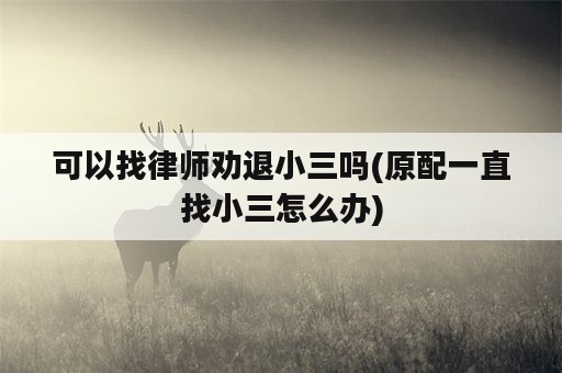 可以找律师劝退小三吗(原配一直找小三怎么办)