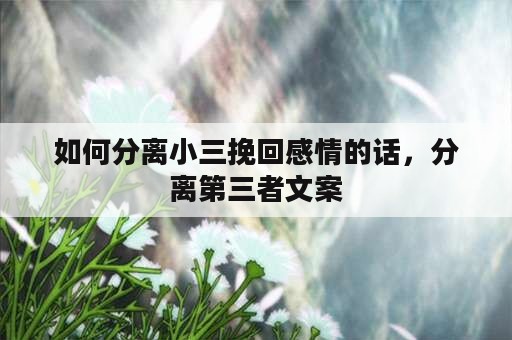 如何分离小三挽回感情的话，分离第三者文案