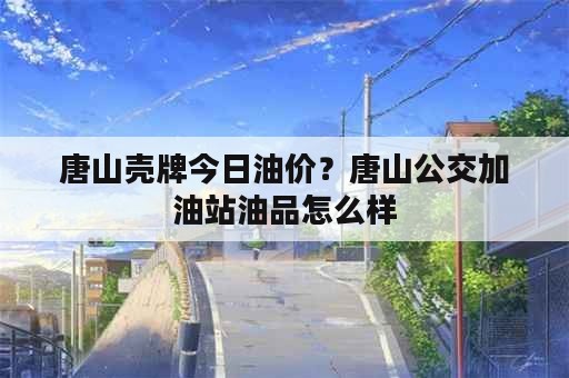 唐山壳牌今日油价？唐山公交加油站油品怎么样