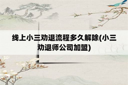 线上小三劝退流程多久解除(小三劝退师公司加盟)