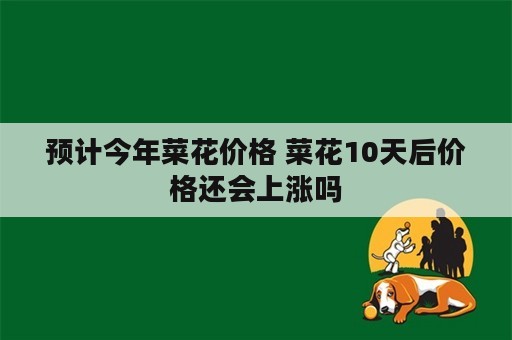 预计今年菜花价格 菜花10天后价格还会上涨吗