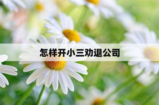 怎样开小三劝退公司