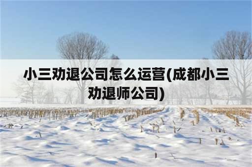 小三劝退公司怎么运营(成都小三劝退师公司)