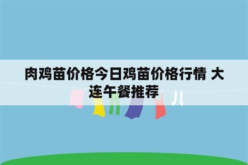 肉鸡苗价格今日鸡苗价格行情 大连午餐推荐