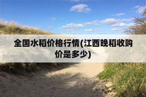 全国水稻价格行情(江西晚稻收购价是多少)