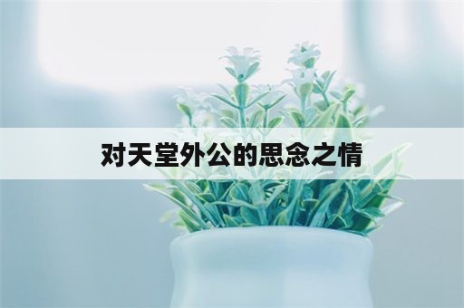 对天堂外公的思念之情