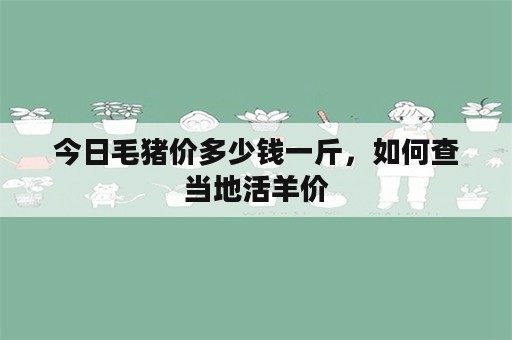 今日毛猪价多少钱一斤，如何查当地活羊价