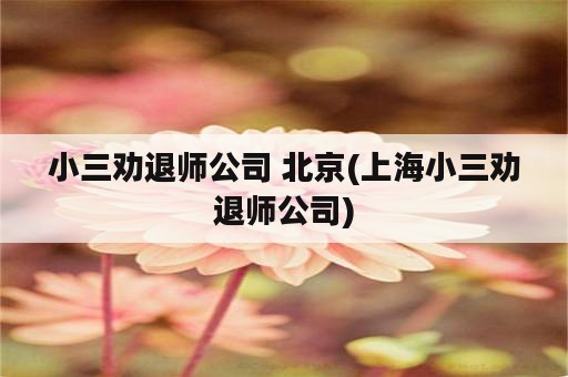 小三劝退师公司 北京(上海小三劝退师公司)