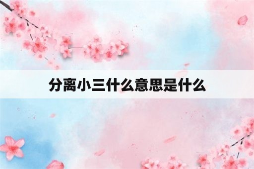 分离小三什么意思是什么