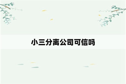 小三分离公司可信吗