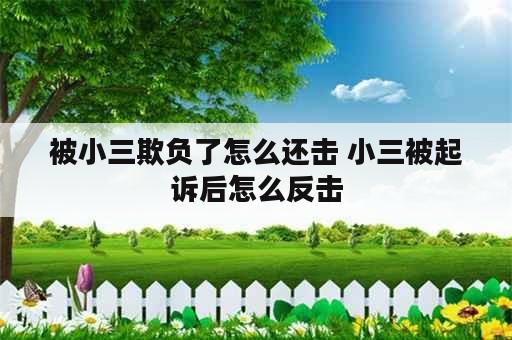 被小三欺负了怎么还击 小三被起诉后怎么反击