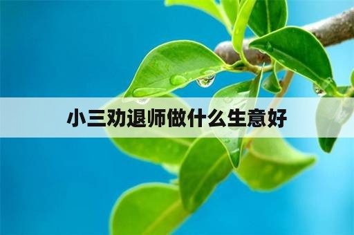 小三劝退师做什么生意好