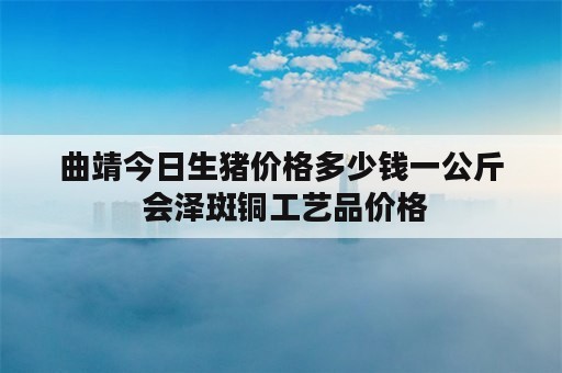 曲靖今日生猪价格多少钱一公斤 会泽斑铜工艺品价格