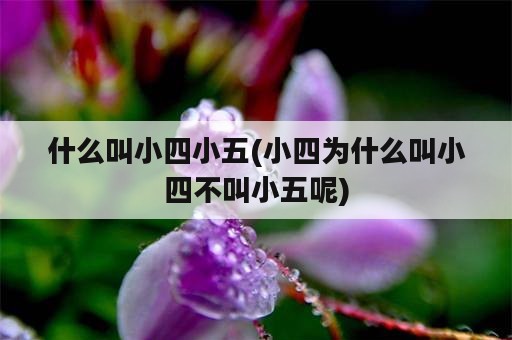 什么叫小四小五(小四为什么叫小四不叫小五呢)