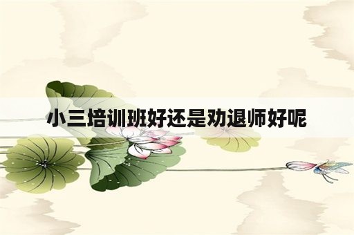 小三培训班好还是劝退师好呢