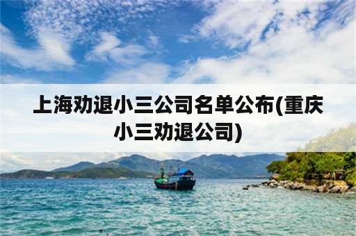 上海劝退小三公司名单公布(重庆小三劝退公司)