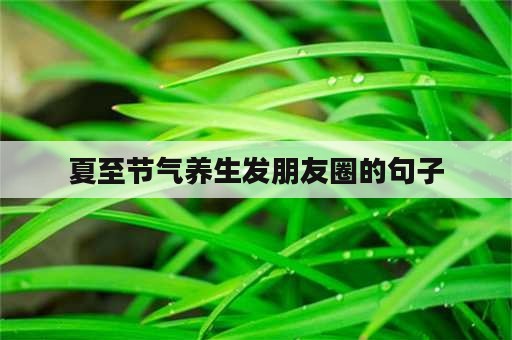 夏至节气养生发朋友圈的句子