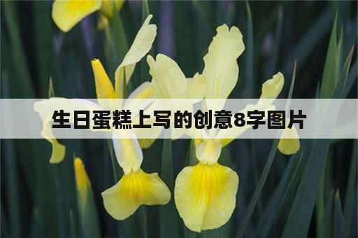 生日蛋糕上写的创意8字图片