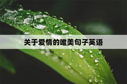 关于爱情的唯美句子英语